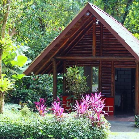 Arenal Oasis Eco Lodge & Wildlife Refuge La Fortuna Eksteriør bilde