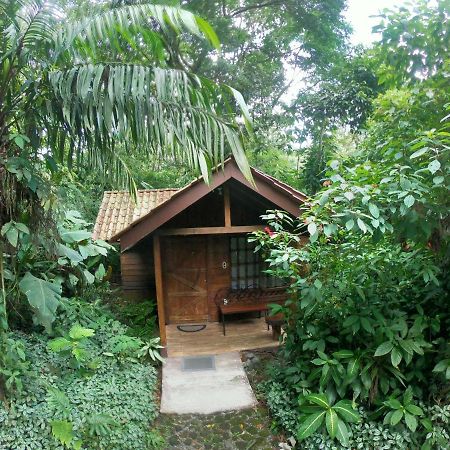 Arenal Oasis Eco Lodge & Wildlife Refuge La Fortuna Eksteriør bilde
