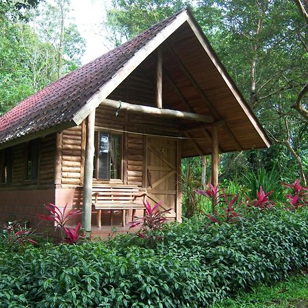 Arenal Oasis Eco Lodge & Wildlife Refuge La Fortuna Eksteriør bilde