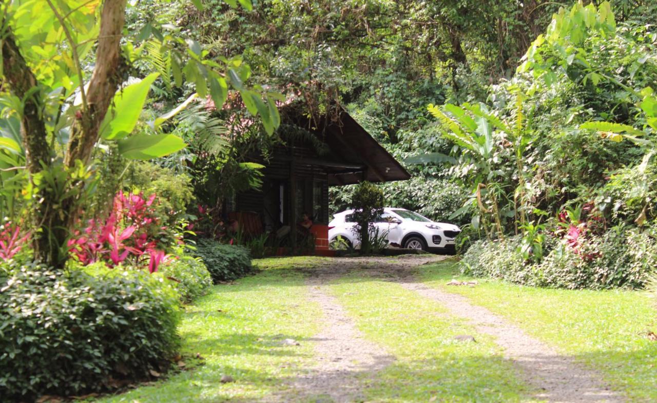 Arenal Oasis Eco Lodge & Wildlife Refuge La Fortuna Eksteriør bilde