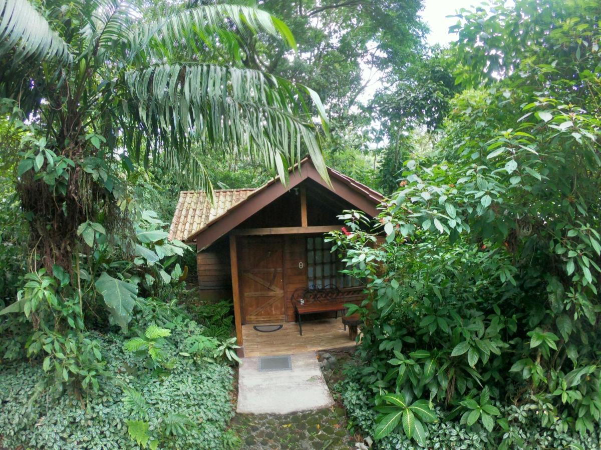 Arenal Oasis Eco Lodge & Wildlife Refuge La Fortuna Eksteriør bilde