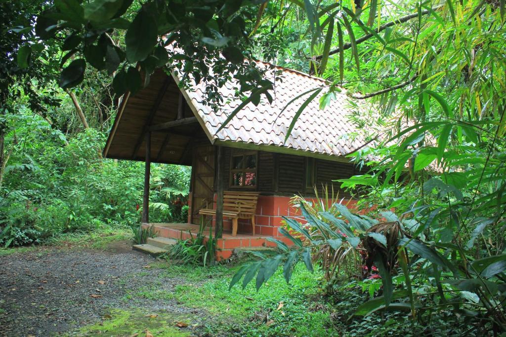 Arenal Oasis Eco Lodge & Wildlife Refuge La Fortuna Rom bilde
