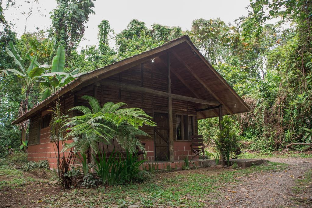 Arenal Oasis Eco Lodge & Wildlife Refuge La Fortuna Eksteriør bilde
